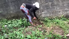 Odtwórz Teen Farm Girl nie ma dość czarnego kutasa i mokrego bukkake